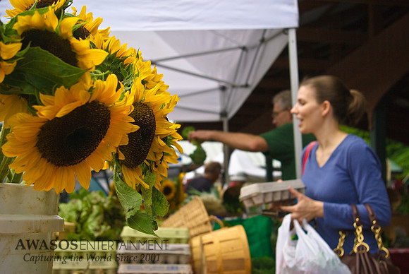 FarmersMarket-013