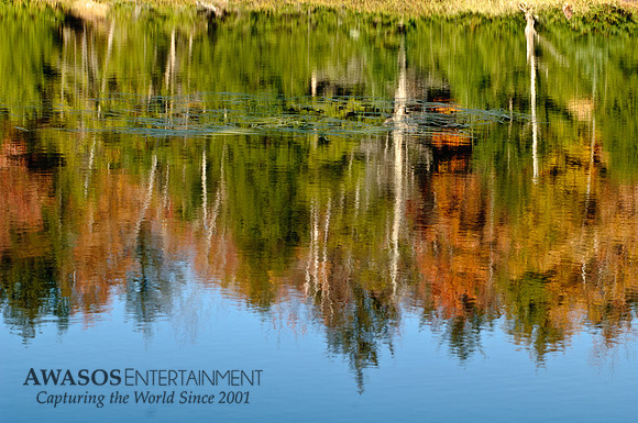 Bumps Pond