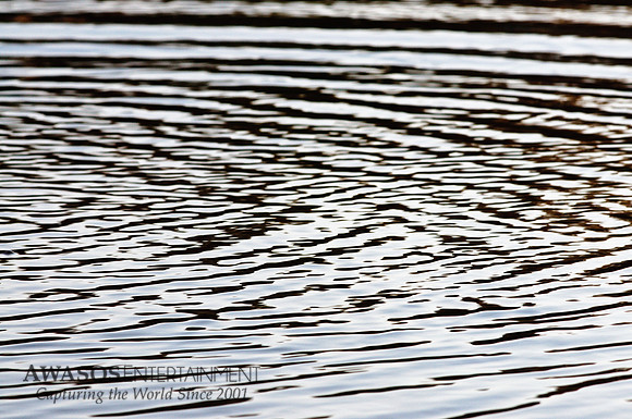 Reflections-3