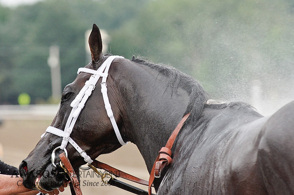 SaratogaRaceTrack-084