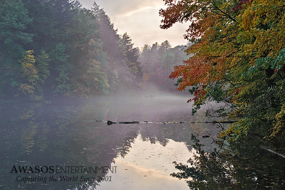 Yaddo-1