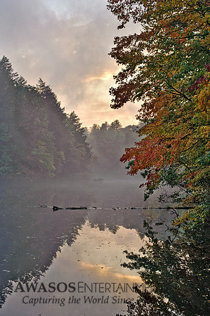 Yaddo-2