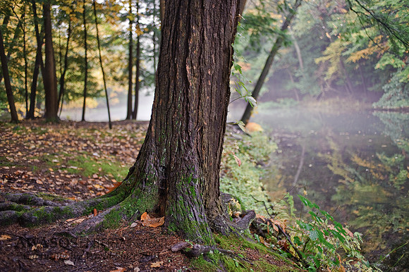 Yaddo-4