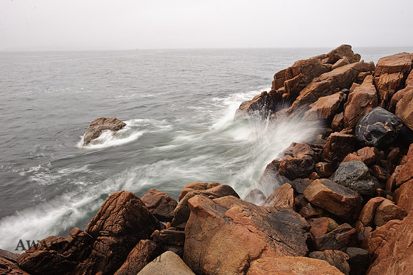 Acadia-30