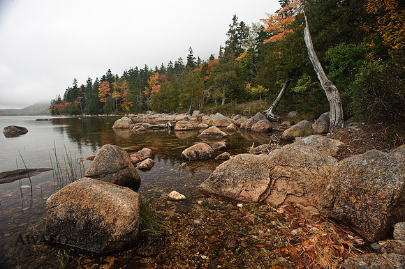 Acadia-31