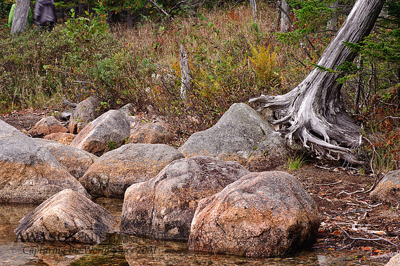 Acadia-35