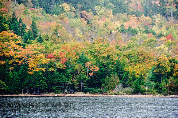 Acadia-40