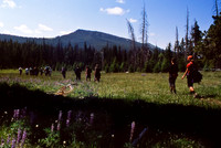 Wyoming-8