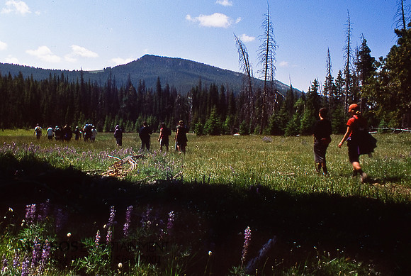 Wyoming-8