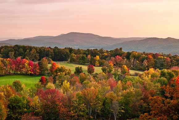 Fall2014-1