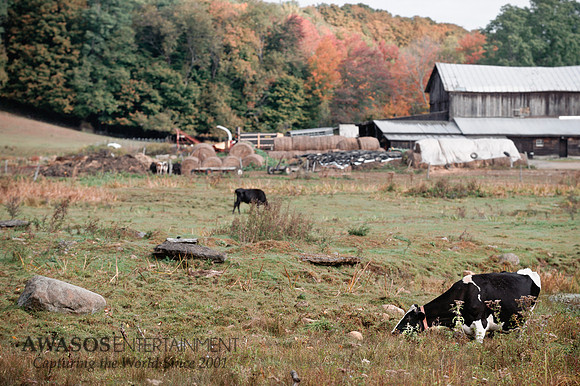 2013Fall-31