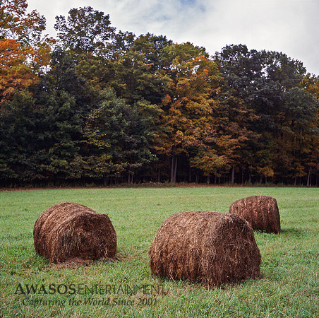 haystacks