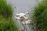 CapeCod-5