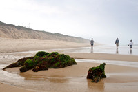 CapeCod-8