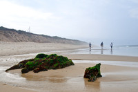 CapeCod-7