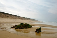 CapeCod-6