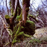 Scotland7