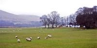 Scotland3-Edit