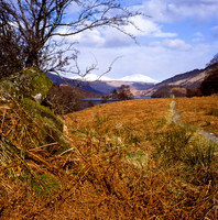 Scotland10