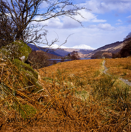 Scotland10