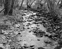 ScotlandBW001