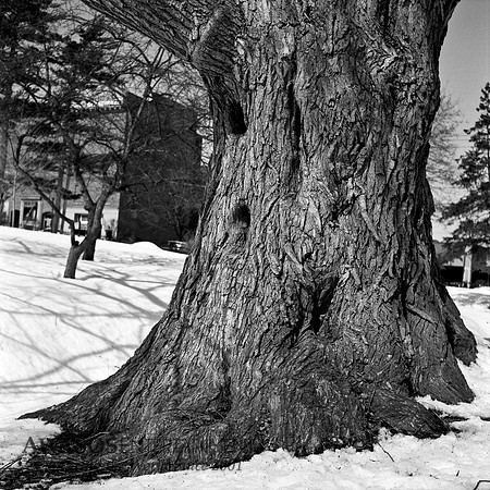 Rollei-002