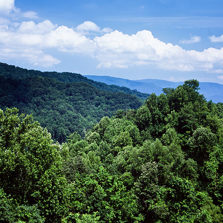 tennesseefilm-1