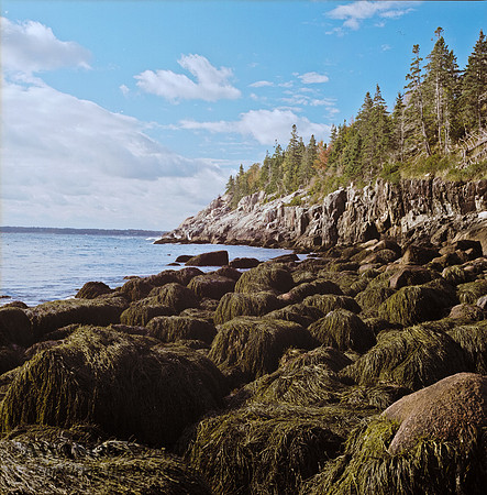 AcadiaFilm-9