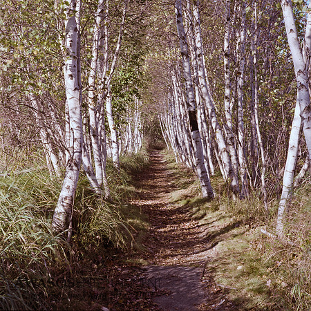 AcadiaFilm-18