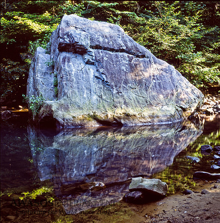 tennesseefilm-3