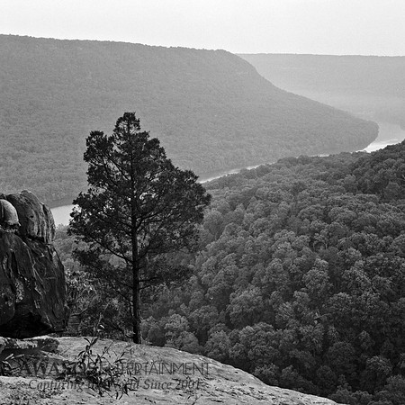 tennesseefilm-6