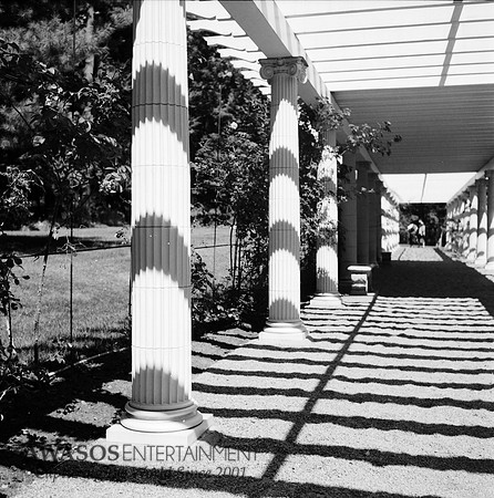 Rollei10