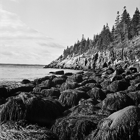 AcadiaFilm-22