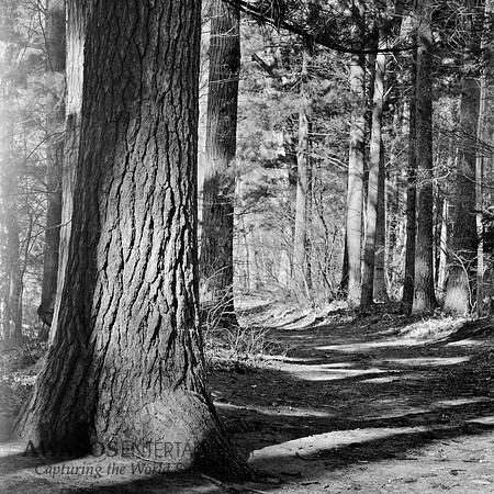 Moreau Lake State Park