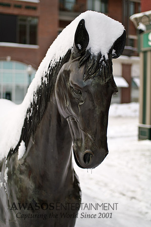 SaratogaWinter-11