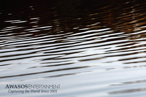 Reflections-1