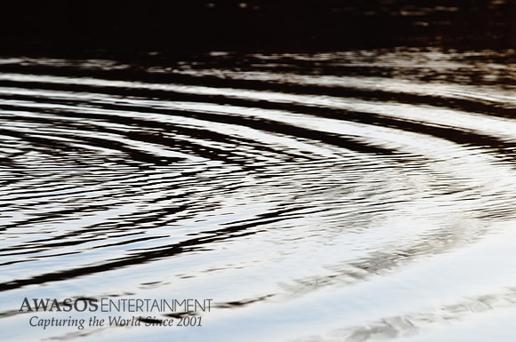 Reflections-4
