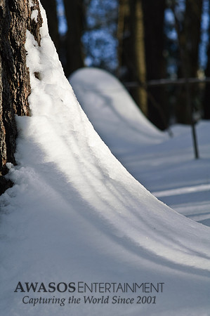 Winter-12