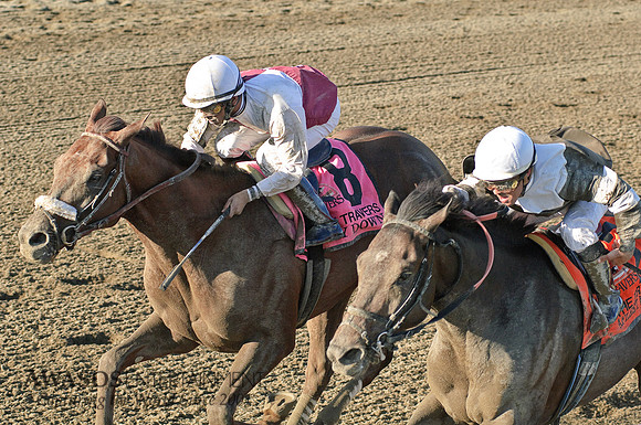 SaratogaRaceTrack-059