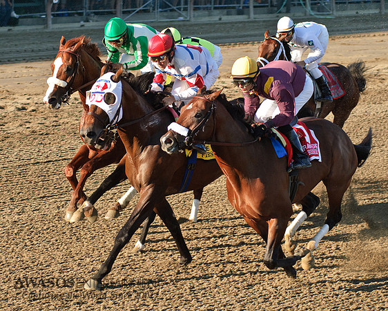 SaratogaRaceTrack-058