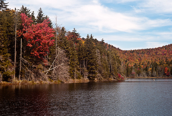 2014Fall-8