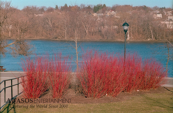 March-022