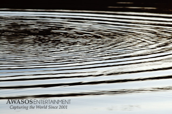 Reflections-5