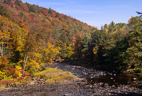 2014Fall-6