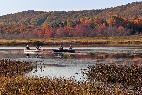 2014Fall-3
