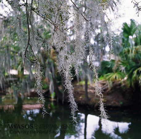 RolleiColor-012