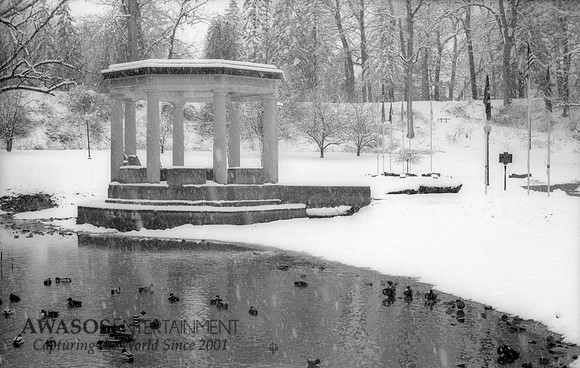 Leica12Spring32