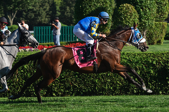SaratogaRaceTrack-067