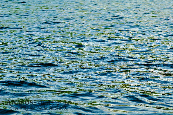 LakeReflections-3