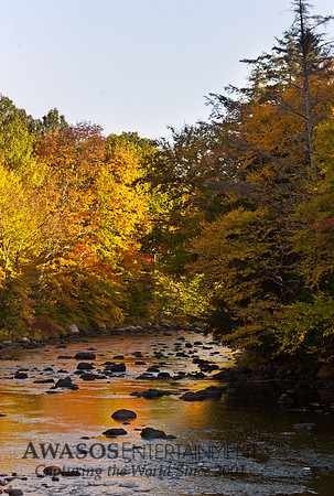 2014Fall-5